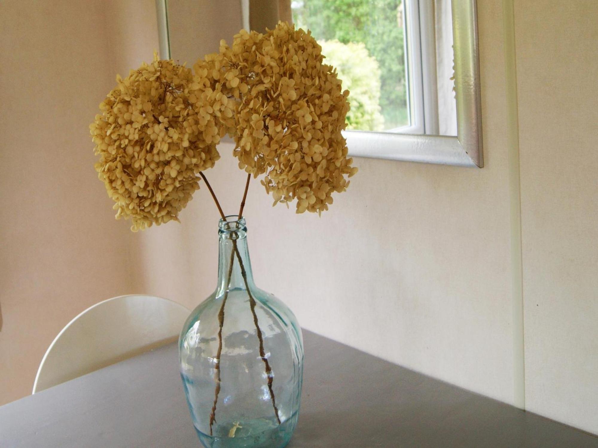 Cosy Holiday Home In Appelscha With Garden Buitenkant foto